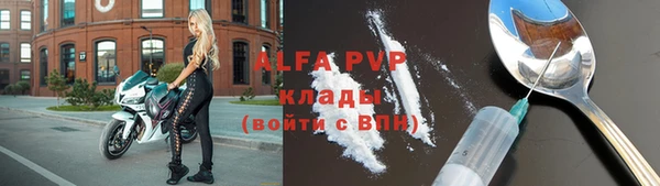 прущие грибы Бугульма