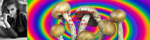 MESCALINE Бородино