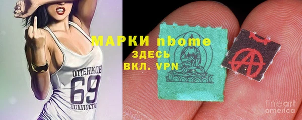 прущие грибы Бугульма
