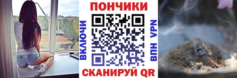 Каннабис OG Kush  Купить где  Приволжский 